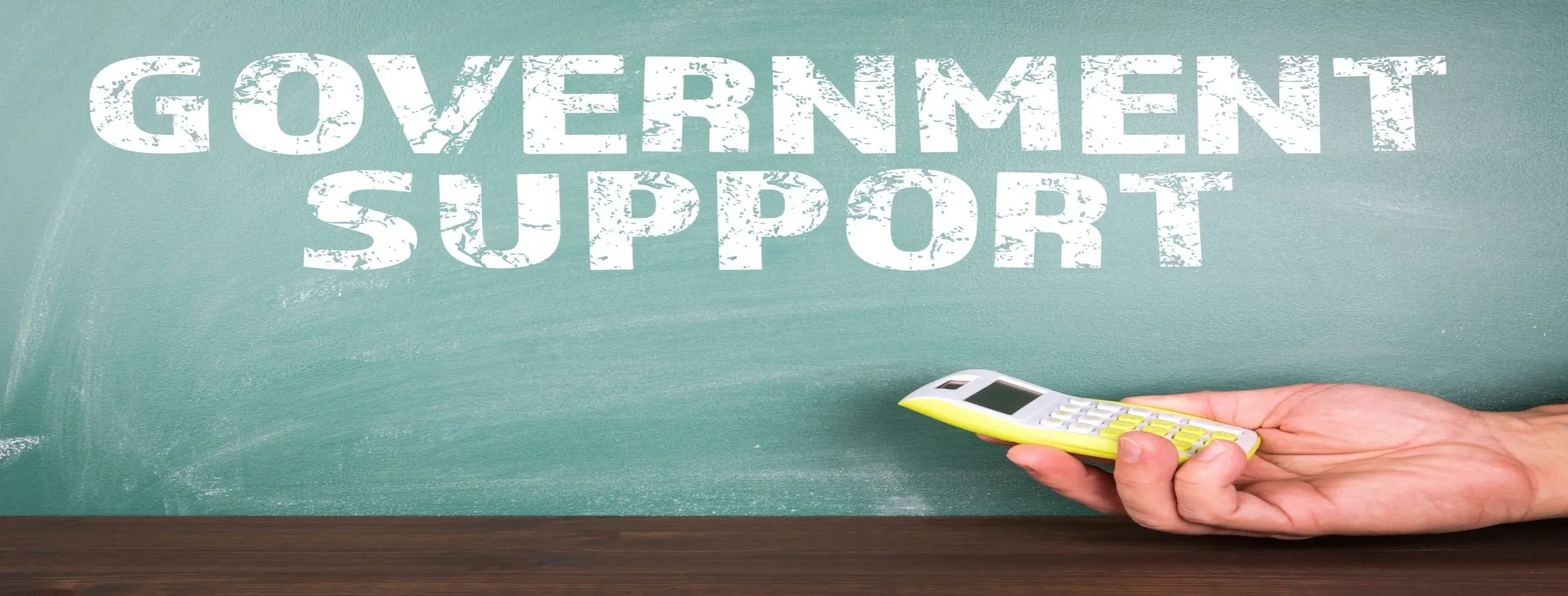 Image for Government Support